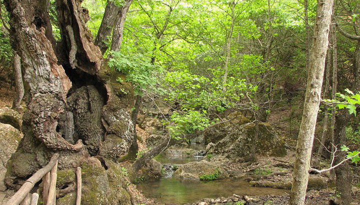 Butterflies Valley & Chalki from Rhodes - Photo 1