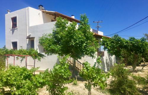 Goldy's Villa - Foto 4