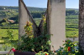 Azienda Agrituristica Corteforte - Foto 77