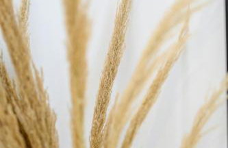 Blue Heart Luxury Suites - Foto 48