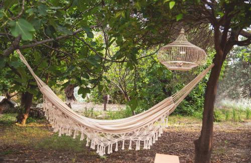 Timpa Bianca - Foto 46