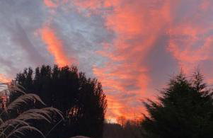 The Carthouse (Luxury 2 bed with private hot tub) - Photo 39