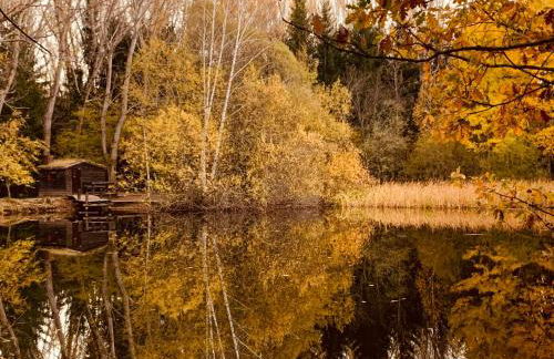 Casas rurales Valle de El Paular - Foto 69