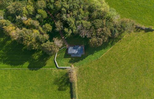 Murmur y Coed - Foto 27