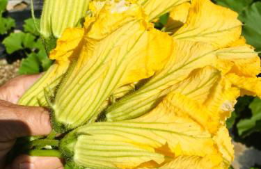 Incanto del Garda - Foto 30