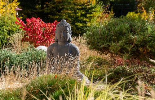 Traumferienwohnungen Georgenthal - Foto 53