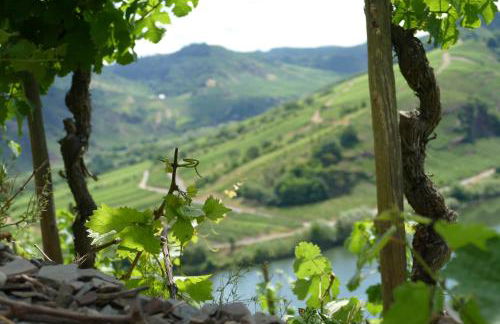 Ferienwohnung Haus am Calmont - Foto 29