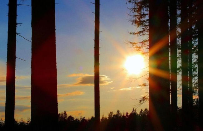 Spacious Holiday Home in Wienrode near Braunlage Ski Area - Foto 30