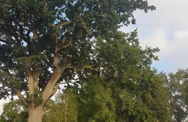 Oase am Nationalpark - Foto 12