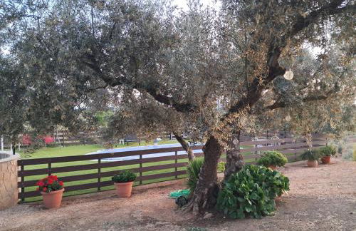 Casa La Loma en Archidona - Foto 43