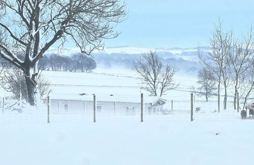 The Vogue Lodge - Photo 11