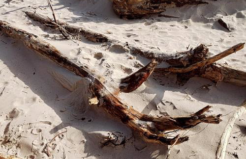 Apartament przy Lesie - Domki u Piotrusia - Foto 20