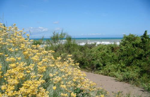 Huge Holiday Home in Marina di Castagneto Carducci near Sea - Foto 86