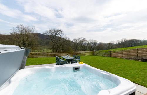 2 Bed in Llanfairtalhaiarn 88974 - Photo 10