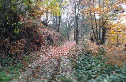 EL BALCÓN PANORÁMICO DE GREDOS - Foto 55