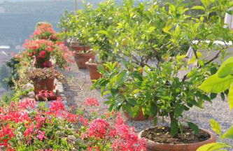 Relais Villa Ambrosetti - Foto 31