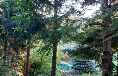 Agroturystyka Jagodowa Róża - Maria Farganus - Foto 14