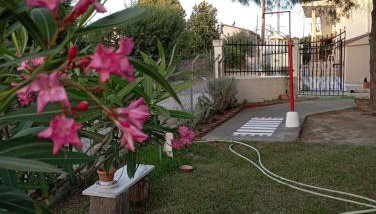 Olive mare Holidays - Foto 5