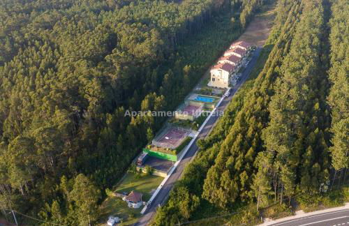 Alojamiento Ultreia - Estorde - Foto 36