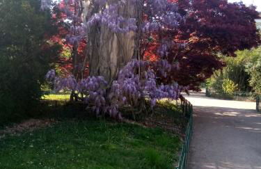 Appartement François 1er - Foto 11