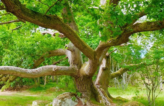 4 Star Holiday Home in Ronneby-by Traum - Foto 5