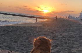 Casa Sole - due passi dal mare - Foto 13