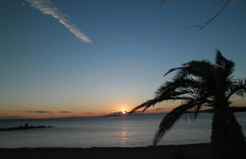 Apartmani Nena - Foto 19