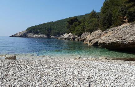 Robinson house Orlandusa - Foto 23