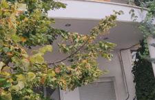 HOME SWEET HOME Διαμέρισμα 50τμ σε ήσυχη περιοχή - Foto 11