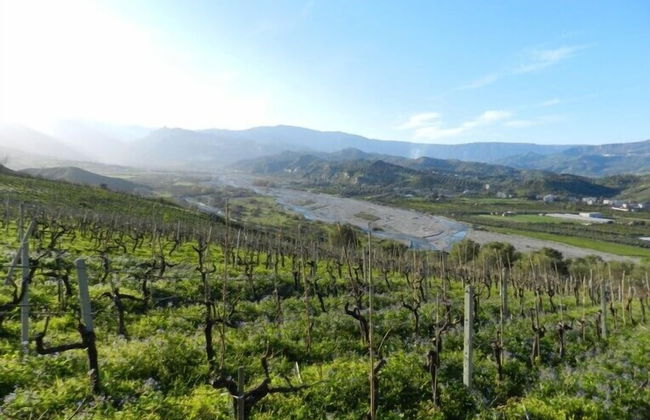 Agriturismo Nereide Ceratti - Foto 17