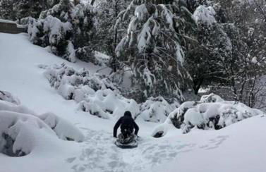 Sprocket Hollow Treetop A-Frame Log Cabin - Foto 42