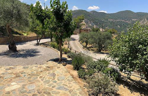 Olive Guest Farm - Foto 44