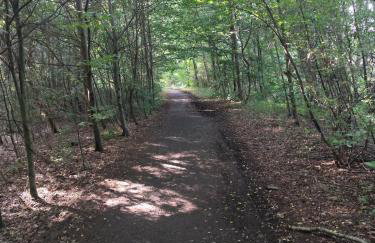 Modrzewiowy Zakątek z balią - Foto 42