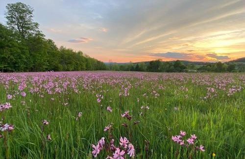 The A-Frame at Harvest Moon Acres - Foto 23