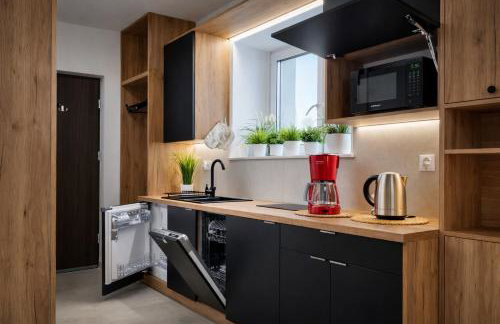 Willa Sowia nowe apartamenty z zachwycającym widokiem na góry i potok - Foto 17