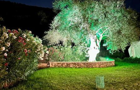 PargaLand Studios & Apartments - Photo 60