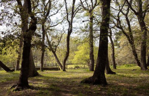 Parco Statella - Foto 56