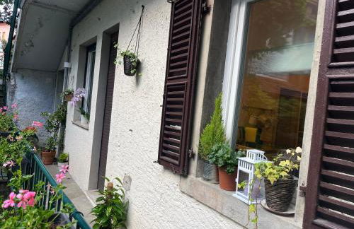 Casa Blanche - Photo 11