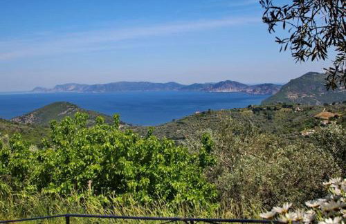 Anania Cottage - Foto 1