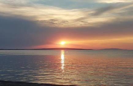 Rose house - Foto 22