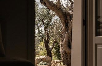 Sikalindi Apulia - Foto 20