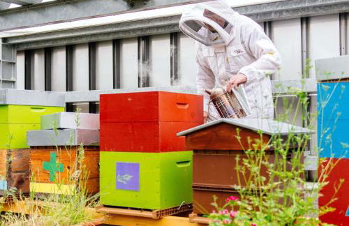 Aparthotel Adagio Access Nancy Centre - Foto 59