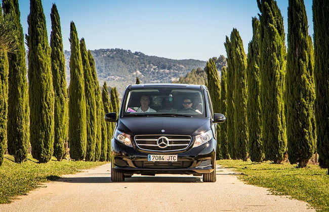 Tour en 4x4 por los viñedos del Penedés - Foto 6