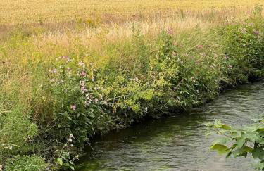 Holly Cottage Cosy Home In Sherwood Forest - Foto 27