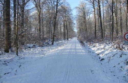 Ferienwohnung Bockelt - Foto 11
