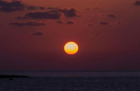 Ciuri Ciuri - Foto 53