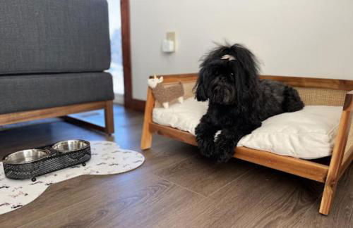 Mt Merritt Suite Logan Health Nearby - Photo 6