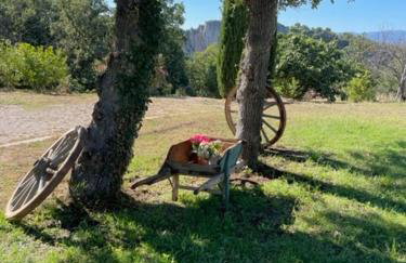 Small Provencal Castle with Swimming Pool, Tennis, Gym & Calm - Foto 50
