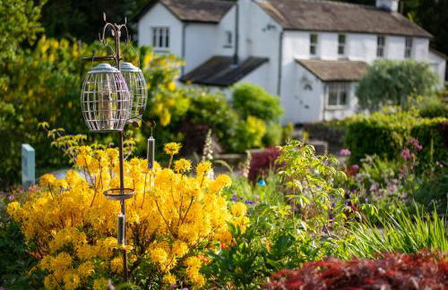 The Mount self-catering - Foto 17