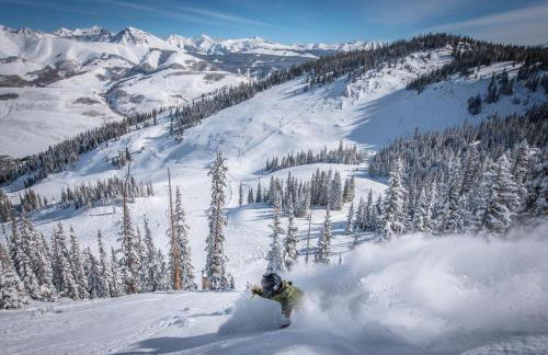 Two Bedroom Condo with a Balcony in Mountaineer Square condo - Foto 29